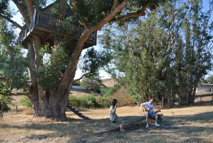 The Treehouse, where my wife and I got engaged, was also an Airbnb stay. One of the most unique stay I had anywhere.